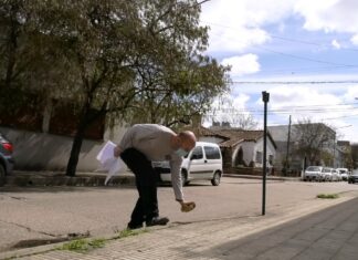 Se iniciará el proyecto de arbolado urbano en abril