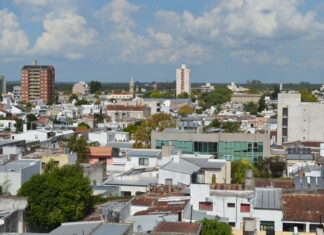 Mañana iniciará la implementación del Plan de Arbolado Urbano