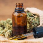 PÁGINA 8 CANNABIS MEDICINAL