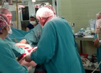 Otra donación multiorgánica posibilita seis trasplantes