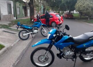 Perdió el control del auto y chocó contra un árbol