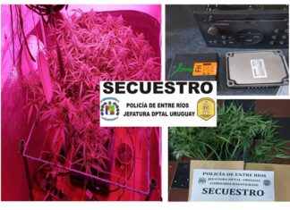 Recuperan objetos robados y secuestran marihuana