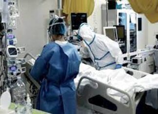 La ocupación llegó al 81,85%