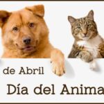 p4 día del animal1