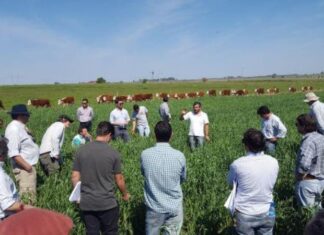 Brindarán sugerencias para el momento de la siembra