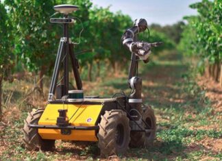 El aporte de los robots y la inteligencia artificial