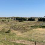 DEPORTES P 11 PARQUE SUR