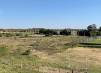 Parque Sur concesionará terrenos para un complejo deportivo