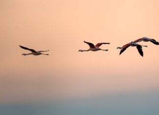 Argentina tiene un nuevo Parque Nacional