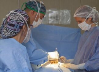 Nueva donación de órganos