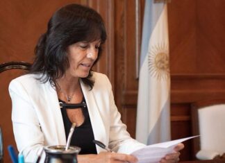 Ibarra y Vizzotti irán al Senado