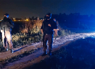 Una joven fue baleada y tiene muerte cerebral