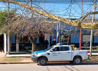 Redujeron a un agresor por violencia de género