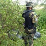 Pagina 6 7 de mayo 2021 secuestran 120 kilos de marihuana