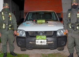 Docente jubilada y su hijo transportaban marihuana