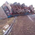 Pagina 7 25 de mayo 2021 Camión cargado de maderas volcó en autovía 12