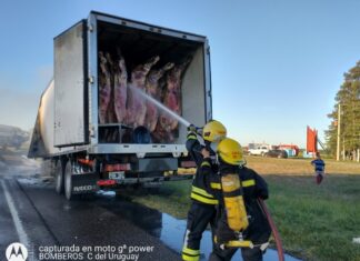 Bomberos apagaron incendio de un camión sobre ruta 14