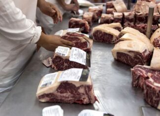 Se perderán 13 millones de dólares por la exportación