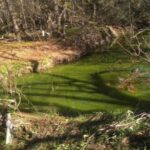 p4 – Denuncian el estado del Arroyo El Curro