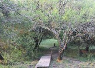 Charla virtual sobre el “Campamento Calá”
