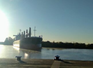Comenzó en el Puerto una nueva exportación de madera