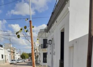 Culminó la primera etapa del Plan de Arbolado