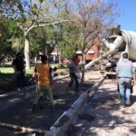 p5 vereda plaza urquiza (2)