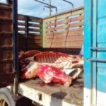p6 – Secuestraron carne sospechosa
