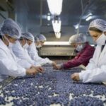 p8 – Convocan para la Misión Comercial