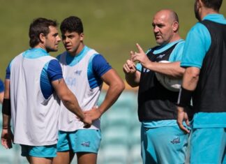 Los Pumas jugarán en julio con Rumania