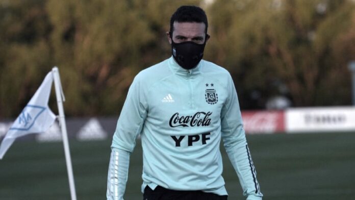 DEPORTES PAG 12 - SCALONI