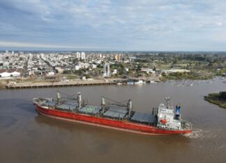 Puerto: comenzó nueva exportación de madera