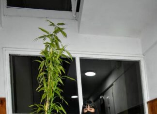 Falta de previsibilidad para el envejecimiento de la población y pérdida de derechos