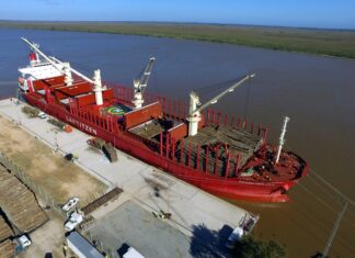 La exportación con cifras similares a la pre pandemia