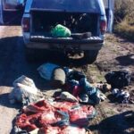 Pagina 7 15 de junio 2021 Reducen a 15 cazadores con animales capturados y armas