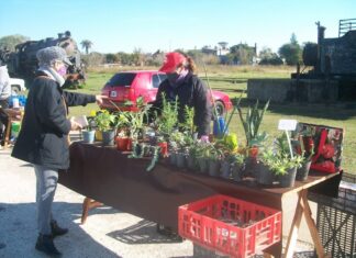 El público acompañó el regreso de la Feria Franca