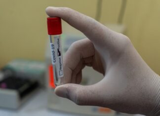 Detectan las cepas Manaos Británica y Andina en la ciudad