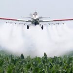 p2 – Buscan detener la