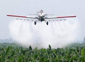 Buscan detener la utilización de agroquímicos