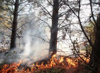 Preocupación por los incendios de cazadores