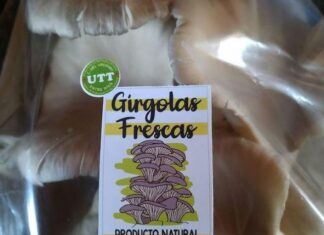 Aprobaron el proyecto de productores uruguayenses