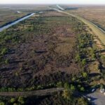 p8 – Invertienen nuevos focos ígneos en el Delta