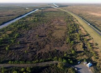 Intervienen nuevos focos ígneos en el Delta