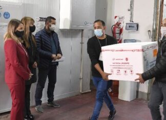 Llegaron otras 62.400 dosis de vacunas