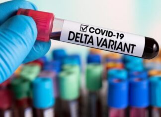 No se pudo encontrar el nexo epidemiológico de 5 casos