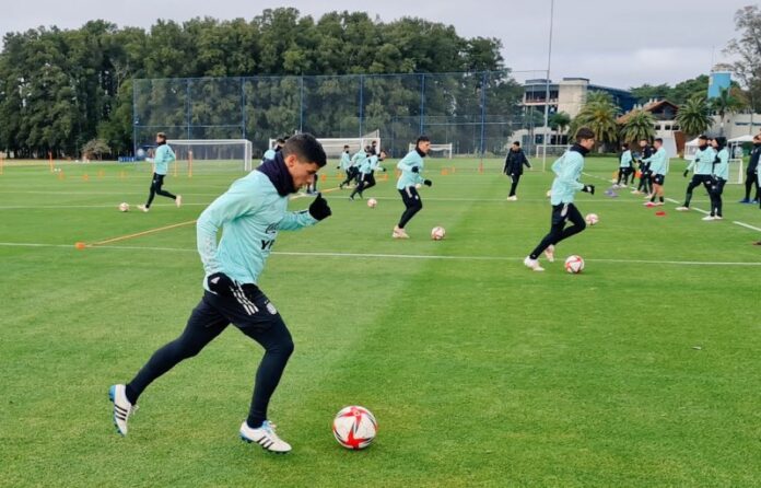 DEPORTES P 12 ARGENTINA JJOO