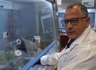 Investigación y ensayos sobre hongos y bacterias