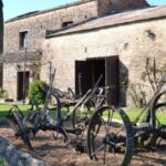 PÁGINA 2 ASISTENCIA ECONÓMICO SECTOR TURISMO Y GASTRONÓMICO