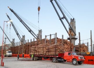 Los puertos locales fortalecen el comercio exterior