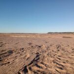 PÁGINA 8 BAJANTE RÍO PARANÁ